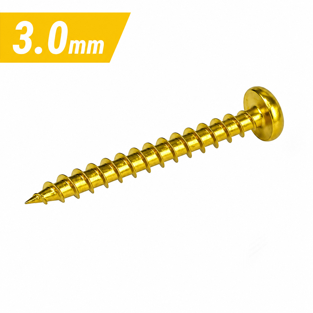 3.0mm Reisser R2 Pan Head Pozi Woodscrew