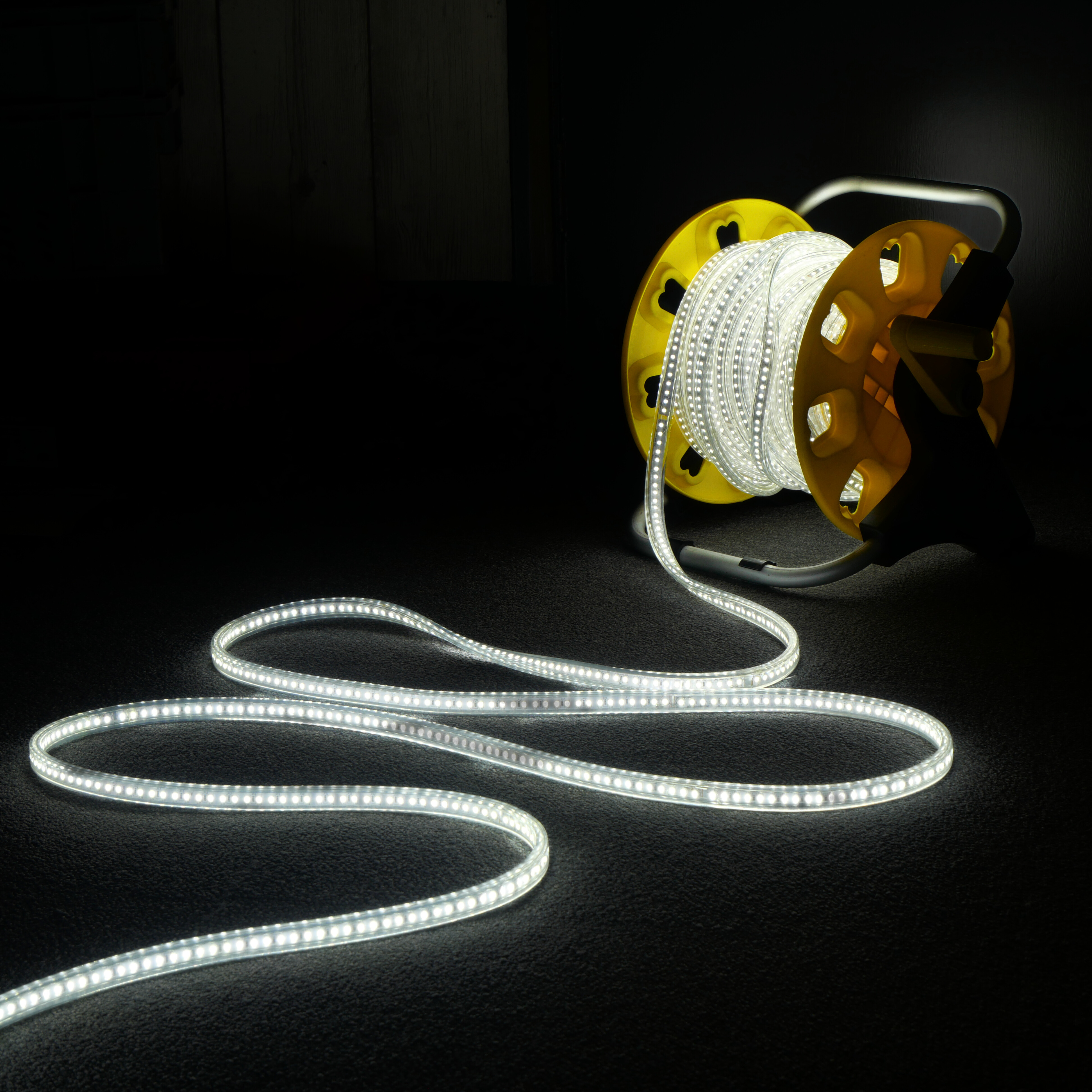Viper Light LED Rope Light 110V